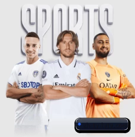 乐鱼围绕看球场景设计的核心服务（leyu sports）